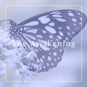 4 Stages to Spiritual Awakening