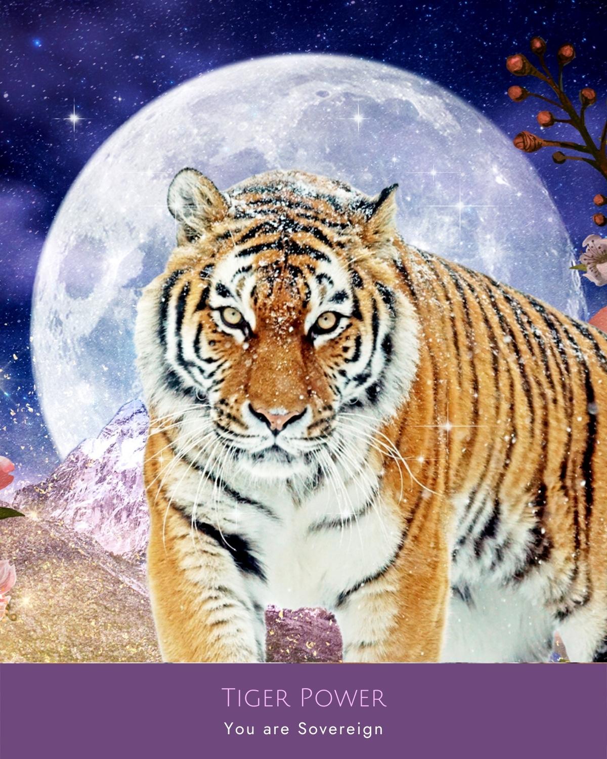 tiger with moon behind it