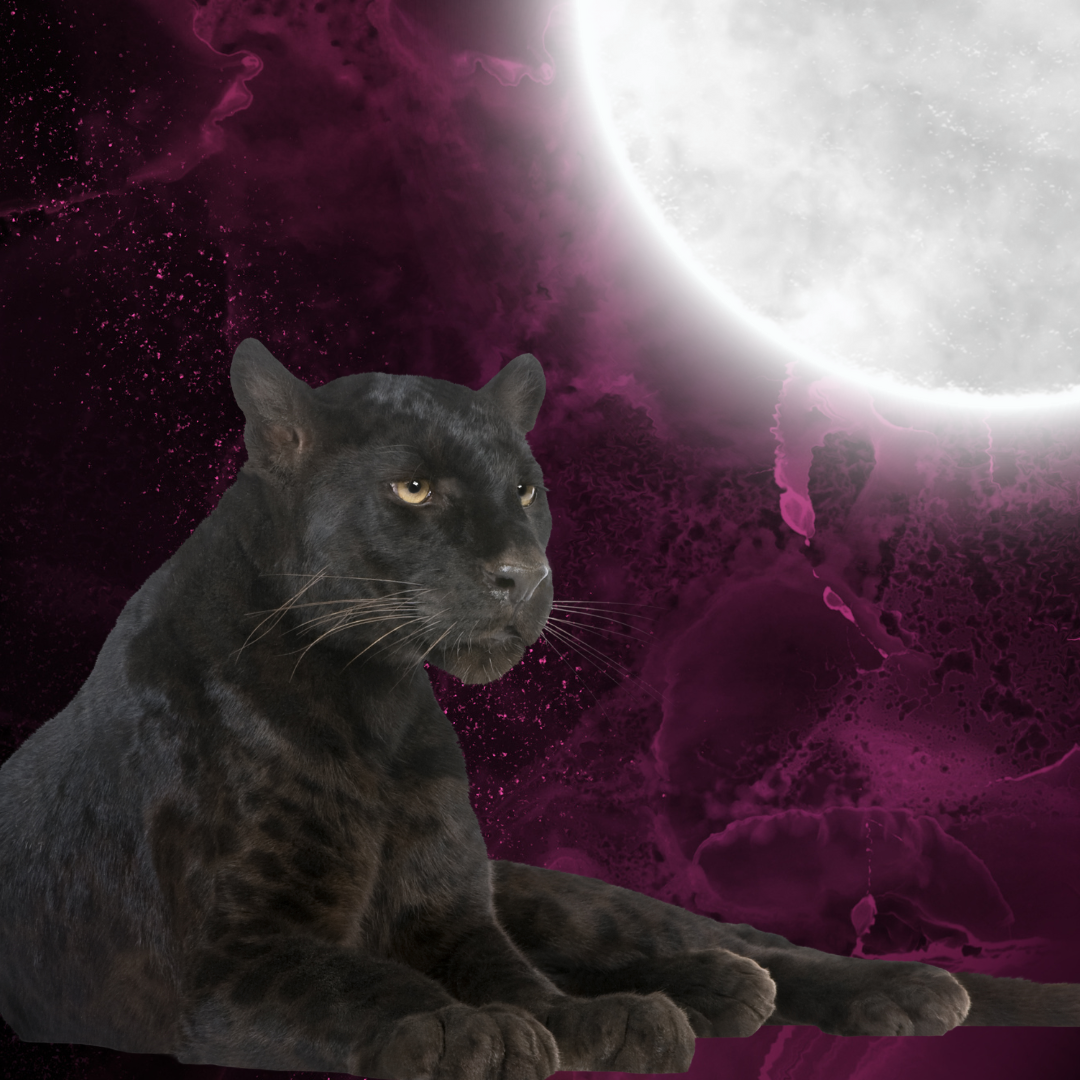 Embodied Divine Feminine (1)