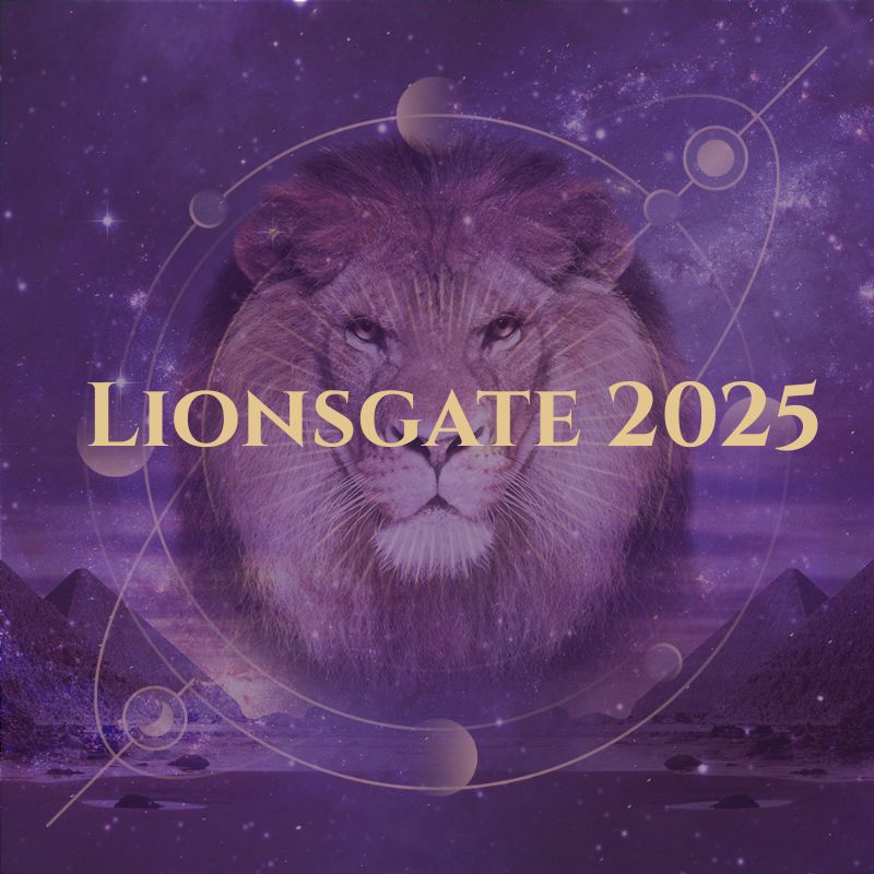 lionsgate 2025 (800 x 800 px)