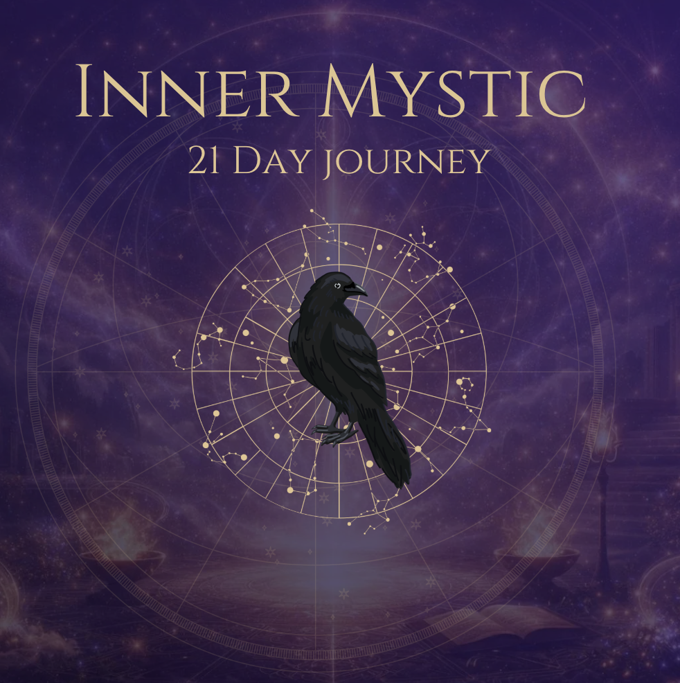 Screenshot 2026-02-06 at 15.10.13